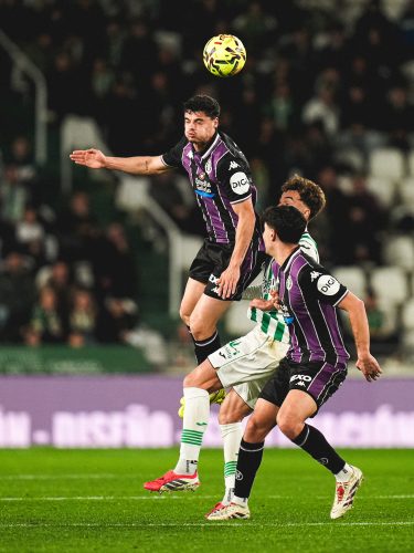 d39654fa-0384-4a46-bb05-81170ed8e07b-502