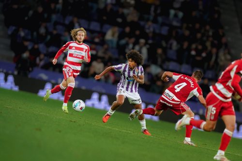 e8f42812-a09f-4161-bf1e-2949ed4d9155-228