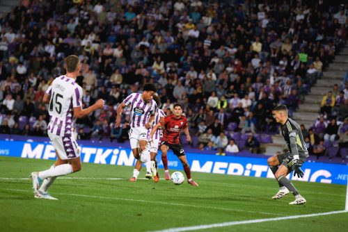 2b9b4879-ac0f-4520-abc0-277d3da1e900-623