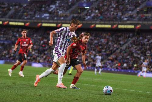 d84f5afe-c779-4520-b4bb-304badc027b5-239