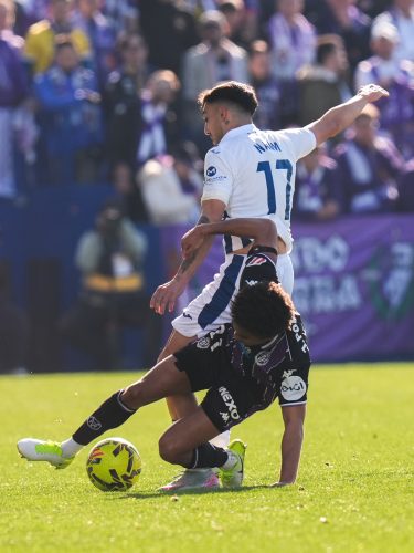 f36157d2-efc8-4bee-92ce-09bd7fcfa8e8-360