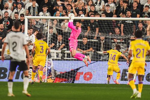 2f8fab40-60f5-4873-8ce7-a355c3a380c7-784