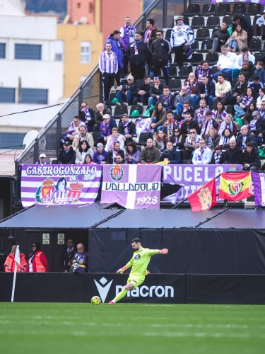 bd391f08-4fbf-494b-a164-bcb9980a95a5-248