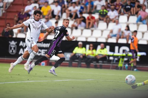 250adde7-95b2-47ab-909b-ef69bc90d037-500