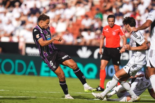 8e730f48-d49e-4211-8c09-dc7683027644-961