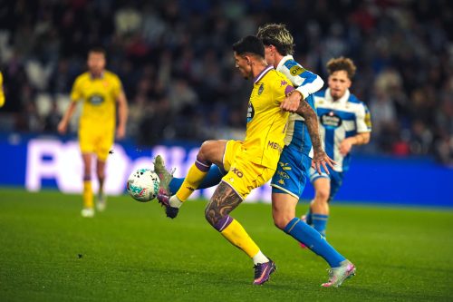 6ce23204-cd2a-42c9-82b8-f23b5004ef7c-80