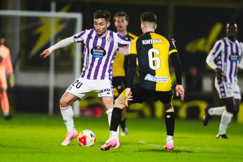 5648668d-d611-48b5-a30d-8c288c94a28f-538